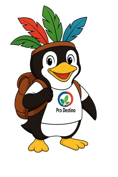 Transição Pro Destino